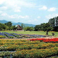 安曇野ちひろ公園大花壇